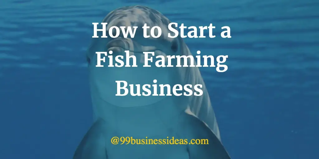 a business plan for fish farming